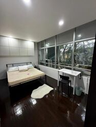 Willyn Ville (D10), Apartment #517313791